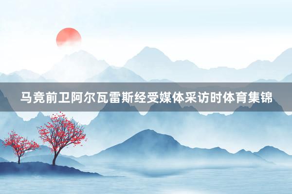 马竞前卫阿尔瓦雷斯经受媒体采访时体育集锦