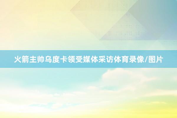 火箭主帅乌度卡领受媒体采访体育录像/图片