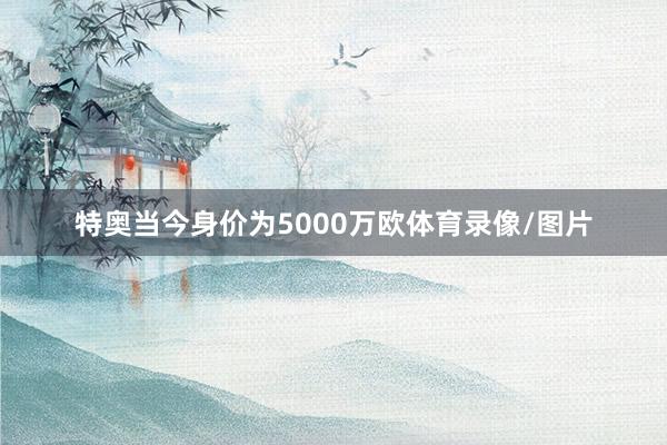 特奥当今身价为5000万欧体育录像/图片