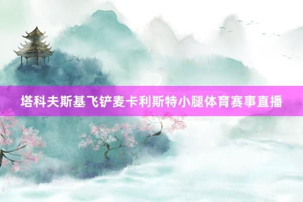 塔科夫斯基飞铲麦卡利斯特小腿体育赛事直播