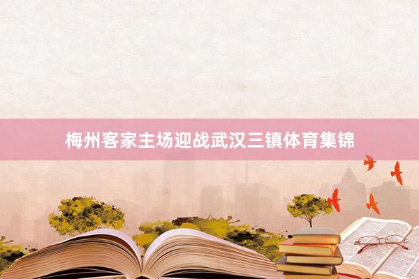 梅州客家主场迎战武汉三镇体育集锦