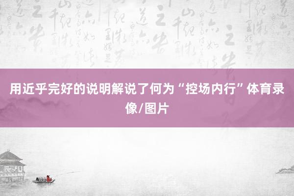 用近乎完好的说明解说了何为“控场内行”体育录像/图片