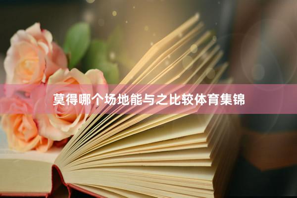 莫得哪个场地能与之比较体育集锦