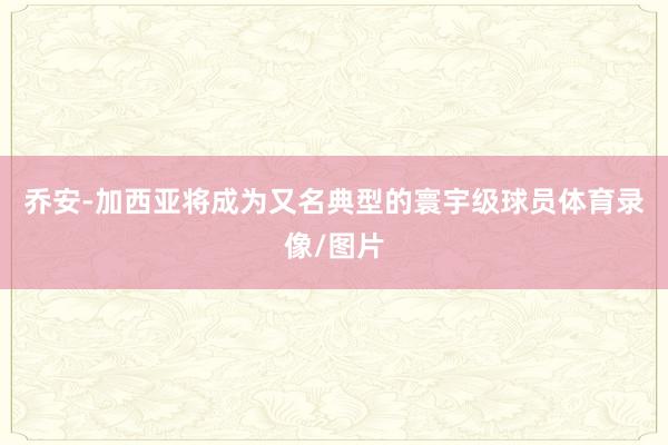 乔安-加西亚将成为又名典型的寰宇级球员体育录像/图片