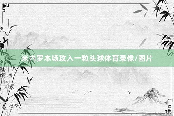 米内罗本场攻入一粒头球体育录像/图片
