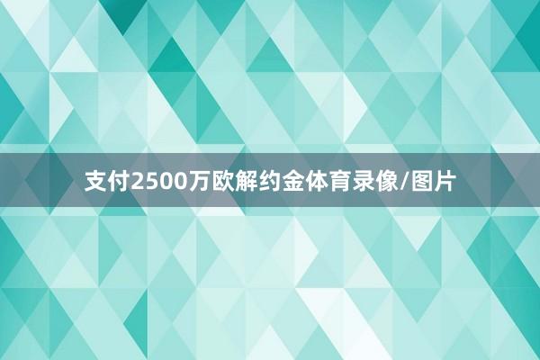 支付2500万欧解约金体育录像/图片