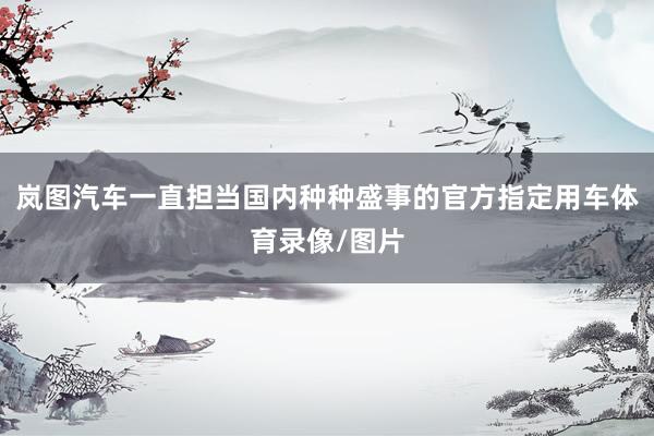 岚图汽车一直担当国内种种盛事的官方指定用车体育录像/图片