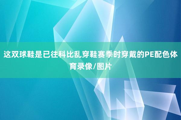 这双球鞋是已往科比乱穿鞋赛季时穿戴的PE配色体育录像/图片