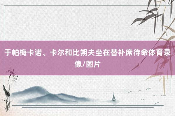 于帕梅卡诺、卡尔和比朔夫坐在替补席待命体育录像/图片