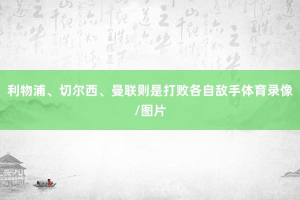 利物浦、切尔西、曼联则是打败各自敌手体育录像/图片