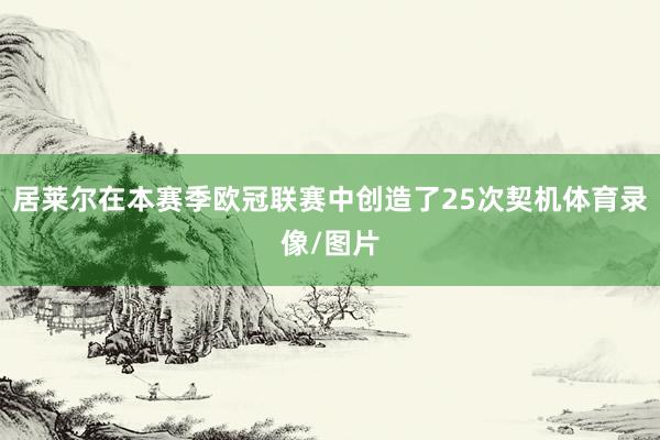 居莱尔在本赛季欧冠联赛中创造了25次契机体育录像/图片