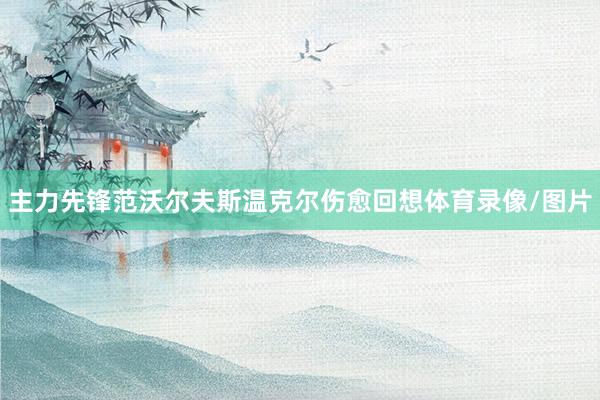 主力先锋范沃尔夫斯温克尔伤愈回想体育录像/图片