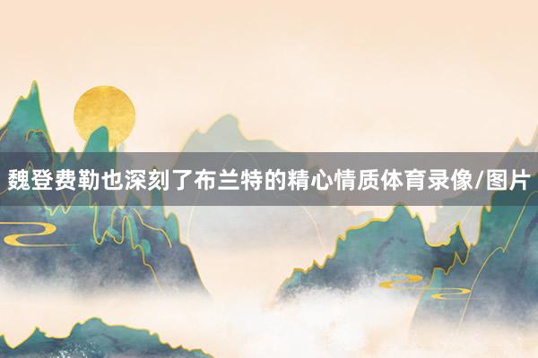 魏登费勒也深刻了布兰特的精心情质体育录像/图片