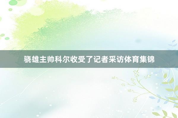 骁雄主帅科尔收受了记者采访体育集锦