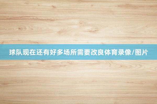 球队现在还有好多场所需要改良体育录像/图片