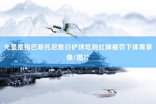 光显是指巴斯托尼敷衍铲球吃到红牌被罚下体育录像/图片