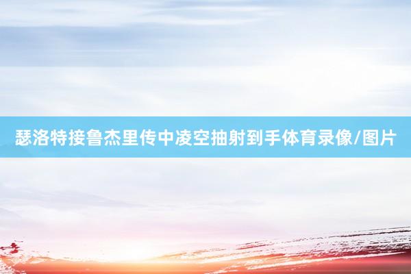 瑟洛特接鲁杰里传中凌空抽射到手体育录像/图片