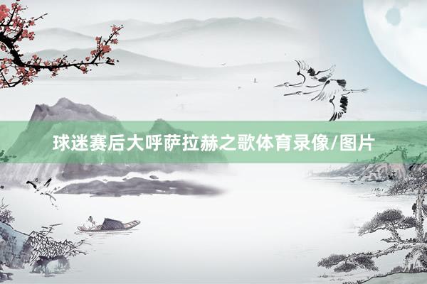 球迷赛后大呼萨拉赫之歌体育录像/图片