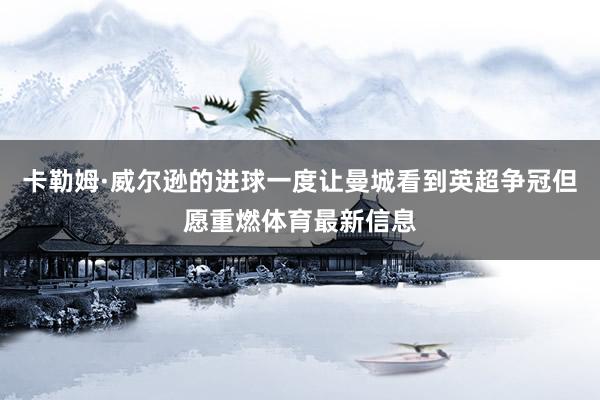 卡勒姆·威尔逊的进球一度让曼城看到英超争冠但愿重燃体育最新信息