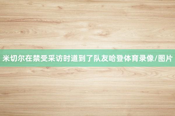 米切尔在禁受采访时道到了队友哈登体育录像/图片