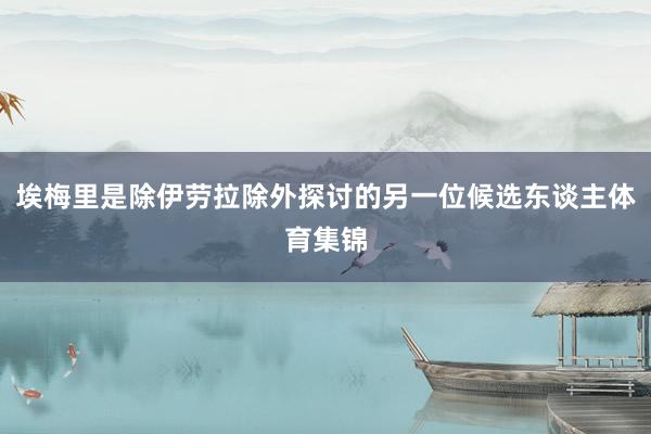 埃梅里是除伊劳拉除外探讨的另一位候选东谈主体育集锦