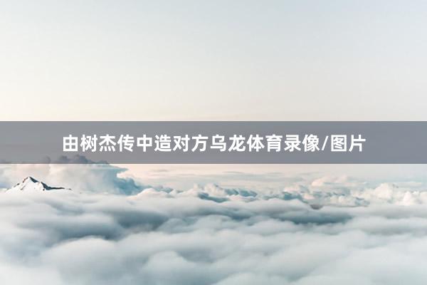 由树杰传中造对方乌龙体育录像/图片