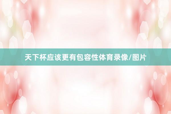 天下杯应该更有包容性体育录像/图片
