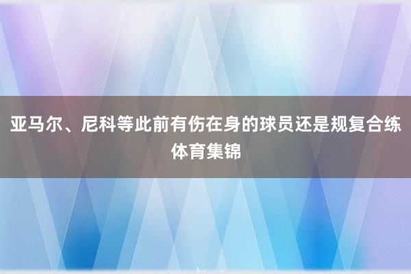 亚马尔、尼科等此前有伤在身的球员还是规复合练体育集锦